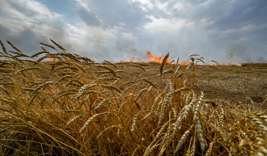 Source: Russian troops fire at fields in Zaporizhzhia Region in Ukraine © Reuters