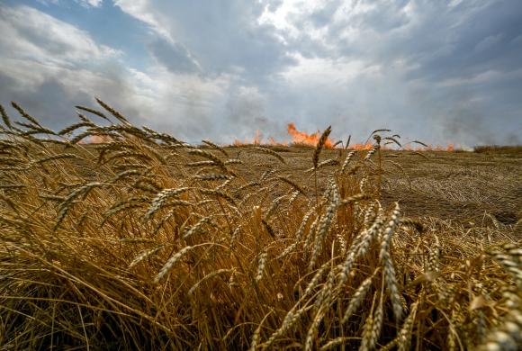 Source: Russian troops fire at fields in Zaporizhzhia Region in Ukraine © Reuters